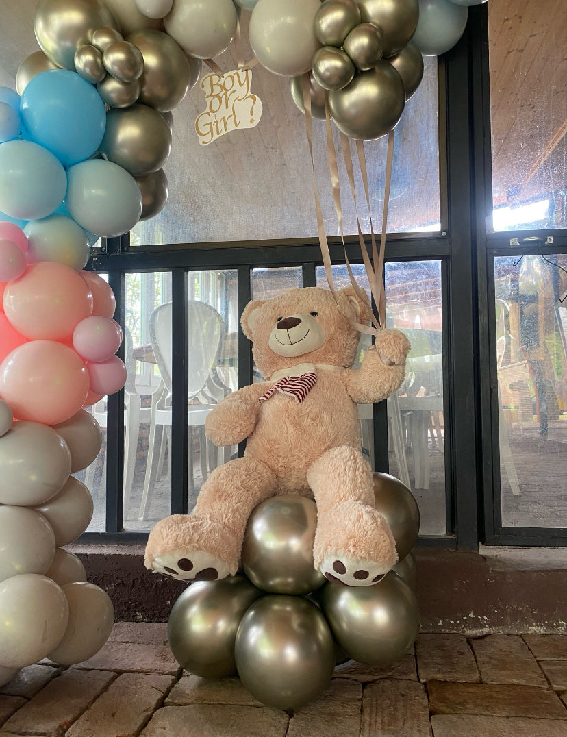 Gender Reveal